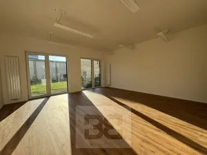 Pronájem kanceláře, Brno, Komárovská, 50 m2