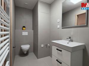 Pronájem bytu 1+1, Karlovy Vary, Palackého náměstí, 30 m2