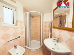 Prodej bytu 1+1, Praha - Žižkov, Vlkova, 55 m2