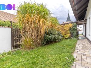 Prodej chalupy, Oleška, 203 m2