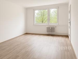 Pronájem bytu 2+1, Ústí nad Labem, Ladova, 61 m2