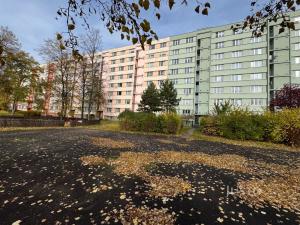 Pronájem bytu 2+1, Ústí nad Labem, Ladova, 61 m2