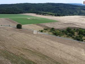Prodej pozemku, Sýkořice, 3943 m2