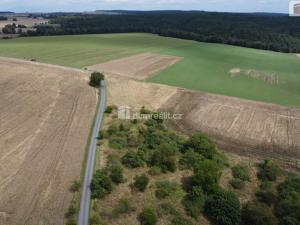 Prodej pozemku, Sýkořice, 3943 m2