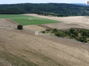 Prodej pozemku, Sýkořice, 3943 m2