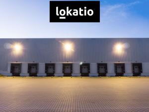 Pronájem výrobních prostor, Hrušky, 5000 m2