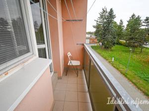 Pronájem bytu 1+1, Židlochovice, sídl. Družba, 30 m2