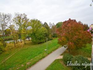 Pronájem bytu 1+1, Židlochovice, sídl. Družba, 30 m2