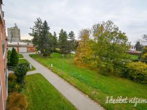 Pronájem bytu 1+1, Židlochovice, sídl. Družba, 30 m2