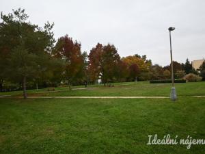 Pronájem bytu 1+1, Židlochovice, sídl. Družba, 30 m2