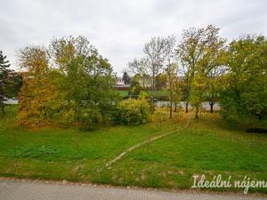 Pronájem bytu 1+1, Židlochovice, sídl. Družba, 30 m2