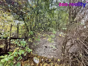 Prodej rodinného domu, Ústí nad Labem, Opletalova, 111 m2