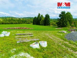 Prodej pole, Bory - Horní Bory, 4299 m2