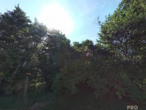 Prodej louky, Traplice, 4459 m2