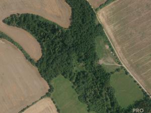 Prodej louky, Traplice, 4459 m2