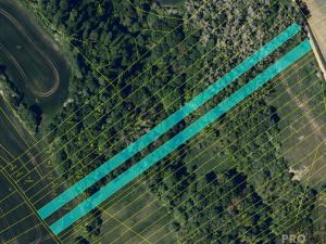 Prodej louky, Traplice, 4459 m2