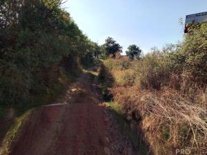 Prodej louky, Traplice, 4459 m2