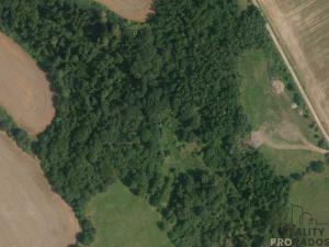 Prodej louky, Traplice, 4459 m2