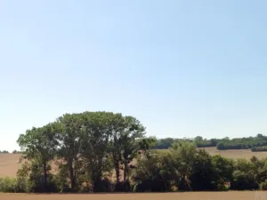 Prodej louky, Traplice, 4459 m2