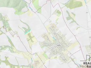 Prodej louky, Traplice, 4459 m2