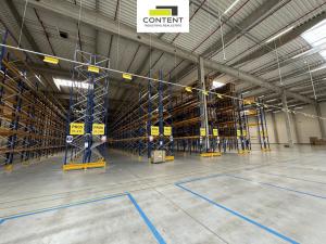 Pronájem výrobních prostor, Hladké Životice, Kujavská, 9000 m2