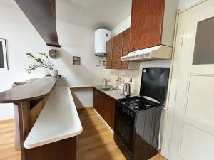 Pronájem bytu 1+kk, Praha - Nusle, Nad Jezerkou, 40 m2