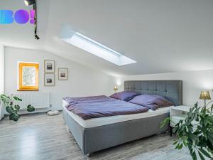 Prodej rodinného domu, Horní Suchá, Albrechtická, 109 m2