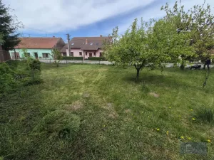Prodej rodinného domu, Horní Věstonice, Lípová, 135 m2