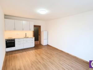Pronájem bytu 1+kk, Praha, Holandská, 30 m2