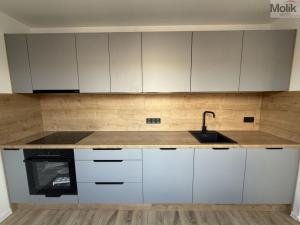 Pronájem bytu 2+1, Most, Maxe Švabinského, 54 m2