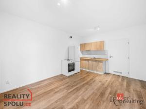 Prodej bytu 1+kk, Třemošná, 31 m2