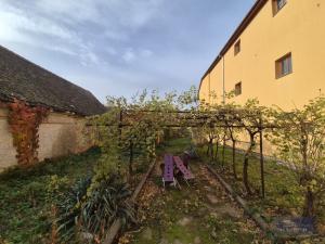 Prodej obchodního prostoru, Horní Věstonice, Lípová, 135 m2