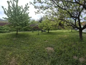 Prodej obchodního prostoru, Horní Věstonice, Lípová, 135 m2