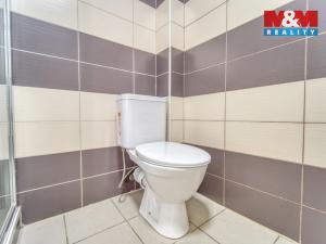 Pronájem bytu 1+1, Sytno, 49 m2