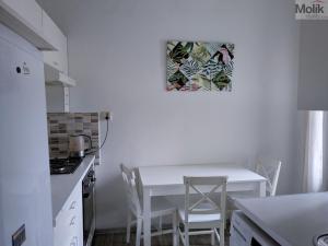 Prodej bytu 2+1, Teplice - Trnovany, Masarykova třída, 49 m2