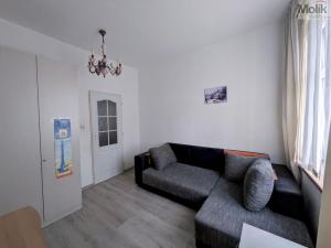 Prodej bytu 2+1, Teplice - Trnovany, Masarykova třída, 49 m2