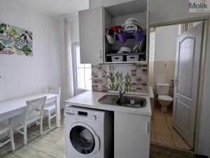 Prodej bytu 2+1, Teplice - Trnovany, Masarykova třída, 49 m2