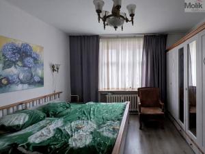 Prodej bytu 2+1, Teplice - Trnovany, Masarykova třída, 49 m2