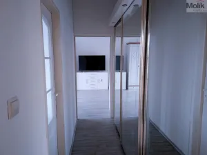 Prodej bytu 2+1, Teplice - Trnovany, Masarykova třída, 49 m2