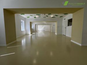 Pronájem kanceláře, Břeclav, třída 1. máje, 240 m2