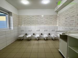 Pronájem kanceláře, Břeclav, třída 1. máje, 240 m2