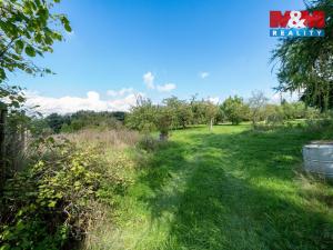 Pronájem zahrady, Letkov, 3585 m2