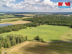 Prodej pole, Přimda - Mlýnec, 238031 m2