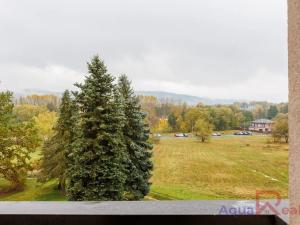 Prodej bytu 2+1, Sokolov, Jelínkova, 60 m2