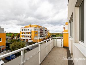 Pronájem bytu 1+kk, Praha - Kyje, Sicherova, 31 m2