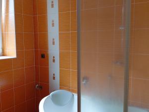 Prodej bytu 4+1, Mladá Vožice, Milady Jungmanové, 143 m2