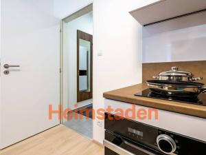 Pronájem bytu 1+kk, Plzeň - Jižní Předměstí, Magisterská, 27 m2