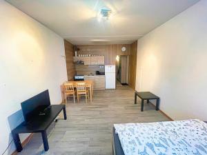 Pronájem bytu 1+kk, České Budějovice - České Budějovice 2, K. Chocholy, 30 m2