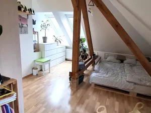 Pronájem bytu 2+kk, Plzeň, Pod Záhorskem, 76 m2