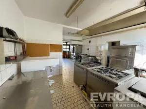 Pronájem restaurace, Plzeň - Doudlevce, Srázná, 90 m2
